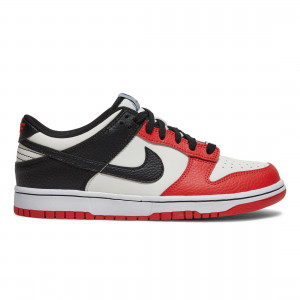 Nike Dunk Low NBA 75th Anniversary Chicago Bulls